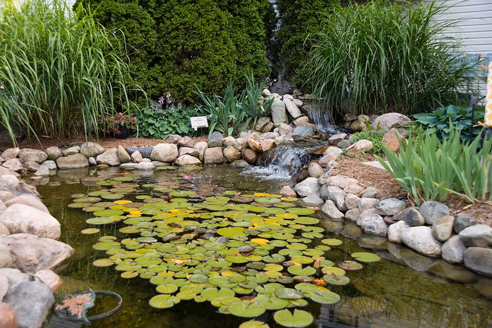 A serene garden pond with lily pads floating on the water, surrounded by rocks and lush green plants. A small waterfall flows into the pond, creating a peaceful atmosphere.