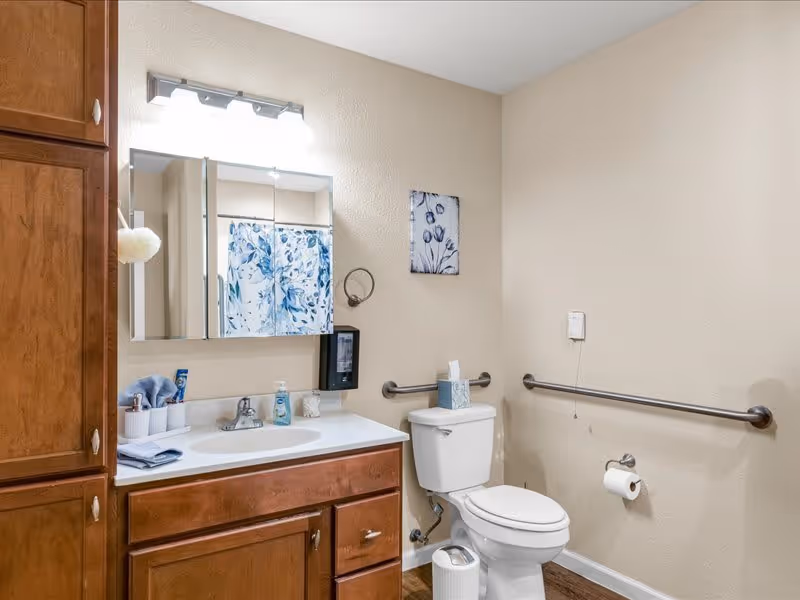 A clean bathroom with wooden cabinets, a white sink countertop, a mirror with lights above it, a toilet with a tissue box on top, grab bars on the walls, and a shower curtain with a blue floral pattern.