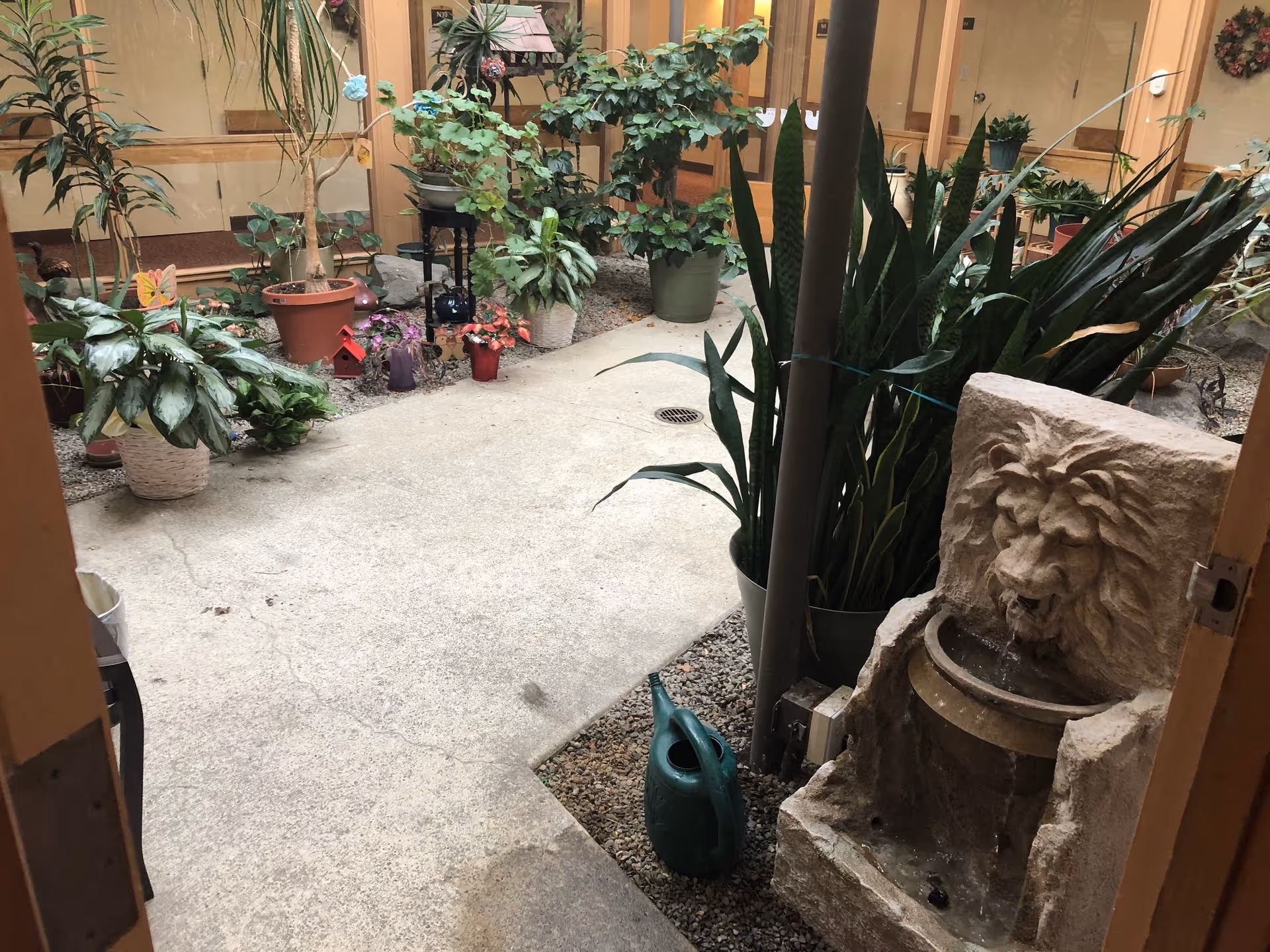 Indoor courtyard area with various potted plants and greenery surrounding a concrete pathway. A stone lion head water fountain is visible on the right side, with water flowing from its mouth into a basin. A green watering can is placed near the fountain. The background shows windows and doors leading to other rooms, with some decorative wreaths on the walls.