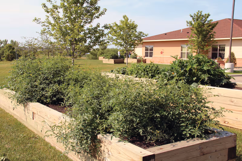 Raised wooden garden beds filled with green plants and trees on a lawn in front of a single-story building.