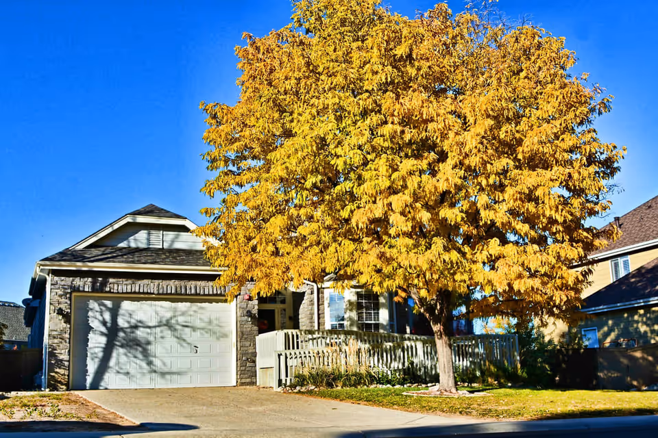 A residential house with a large tree with yellow autumn leaves in front of it. The house has a stone facade around the garage and a small fenced porch area. The sky is clear and blue.