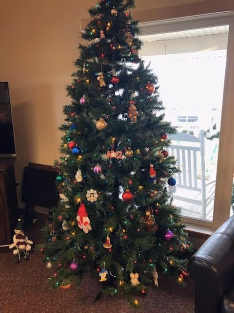 Decorated Christmas tree with ornaments and lights standing in a living room near a window and sofa.