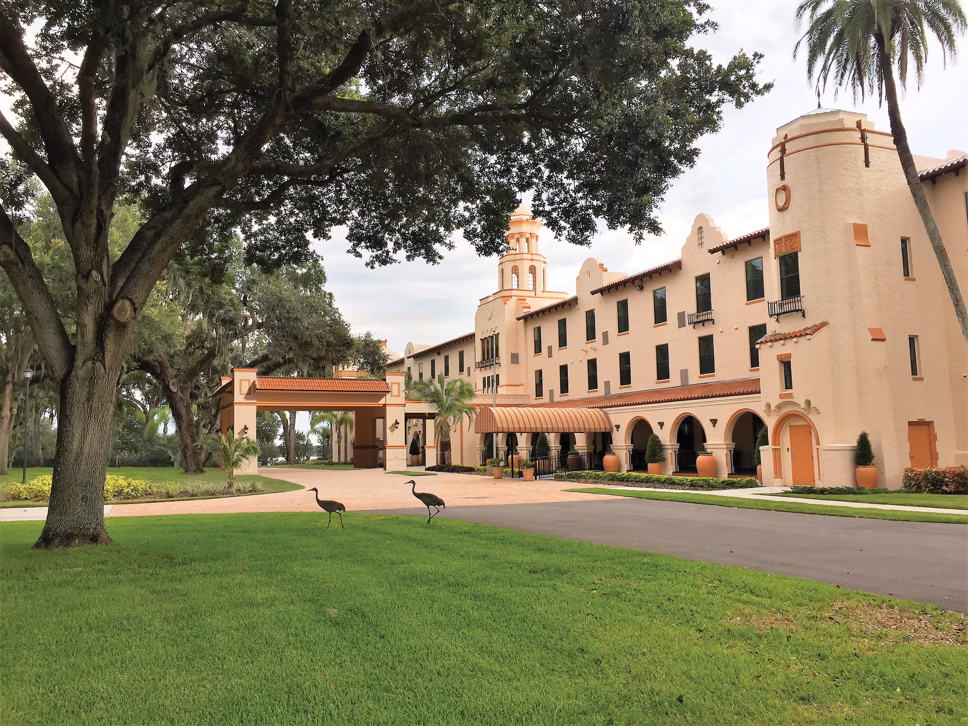 Mediterranean-style multi-story building with arched entrances, a large tree and lawn, and two birds walking on the driveway.