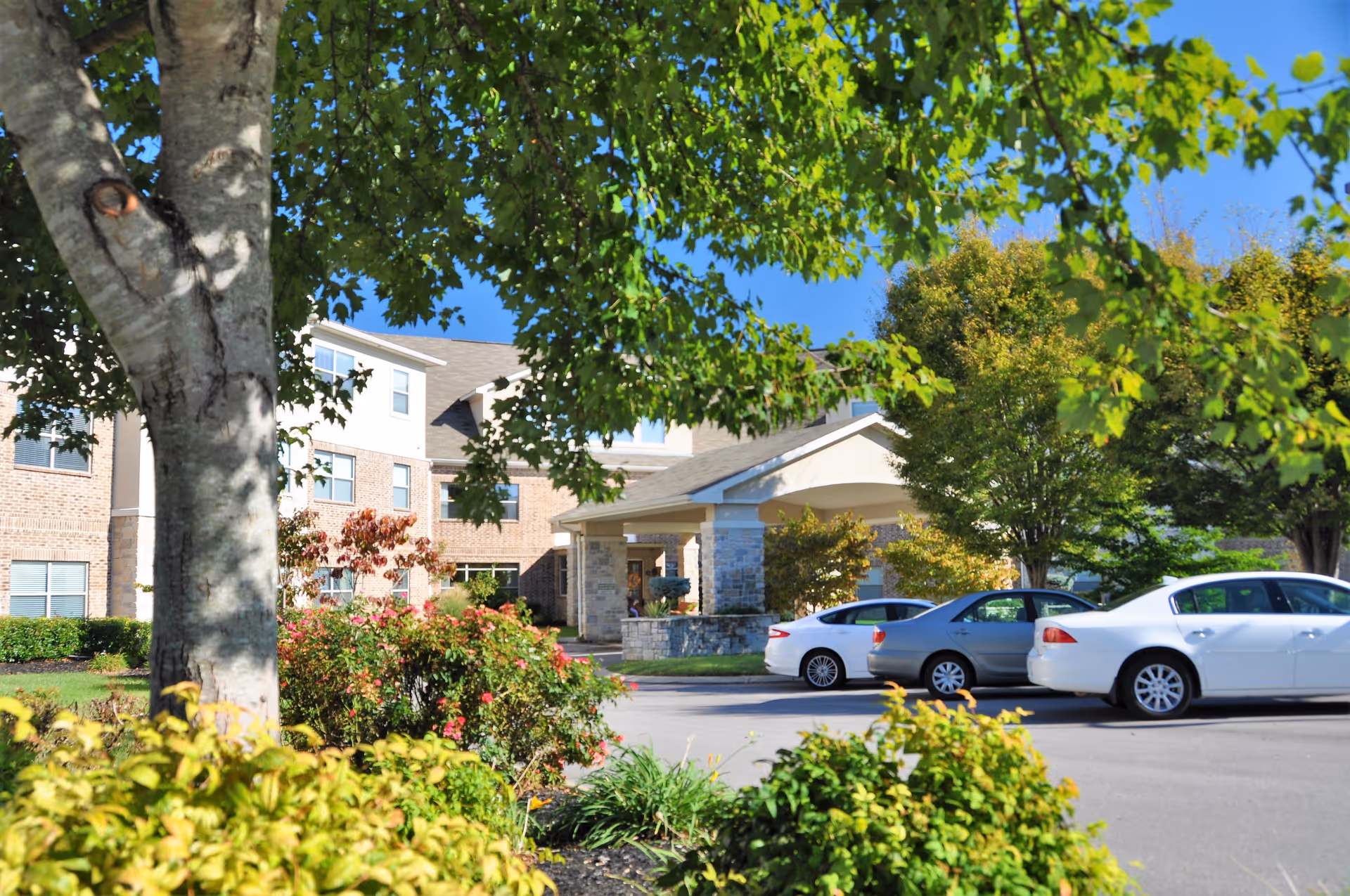 Front entrance of a senior living building framed by trees, landscaping, and parked cars.