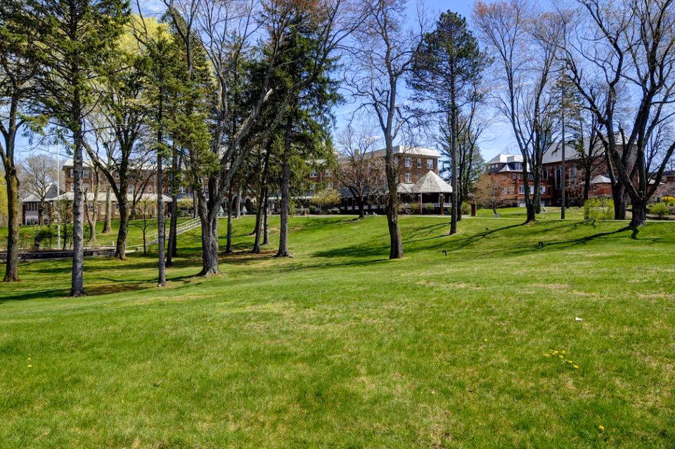 A large grassy lawn with scattered trees in front of several multi-story brick buildings under a clear blue sky at Saint Francis Residential Community.