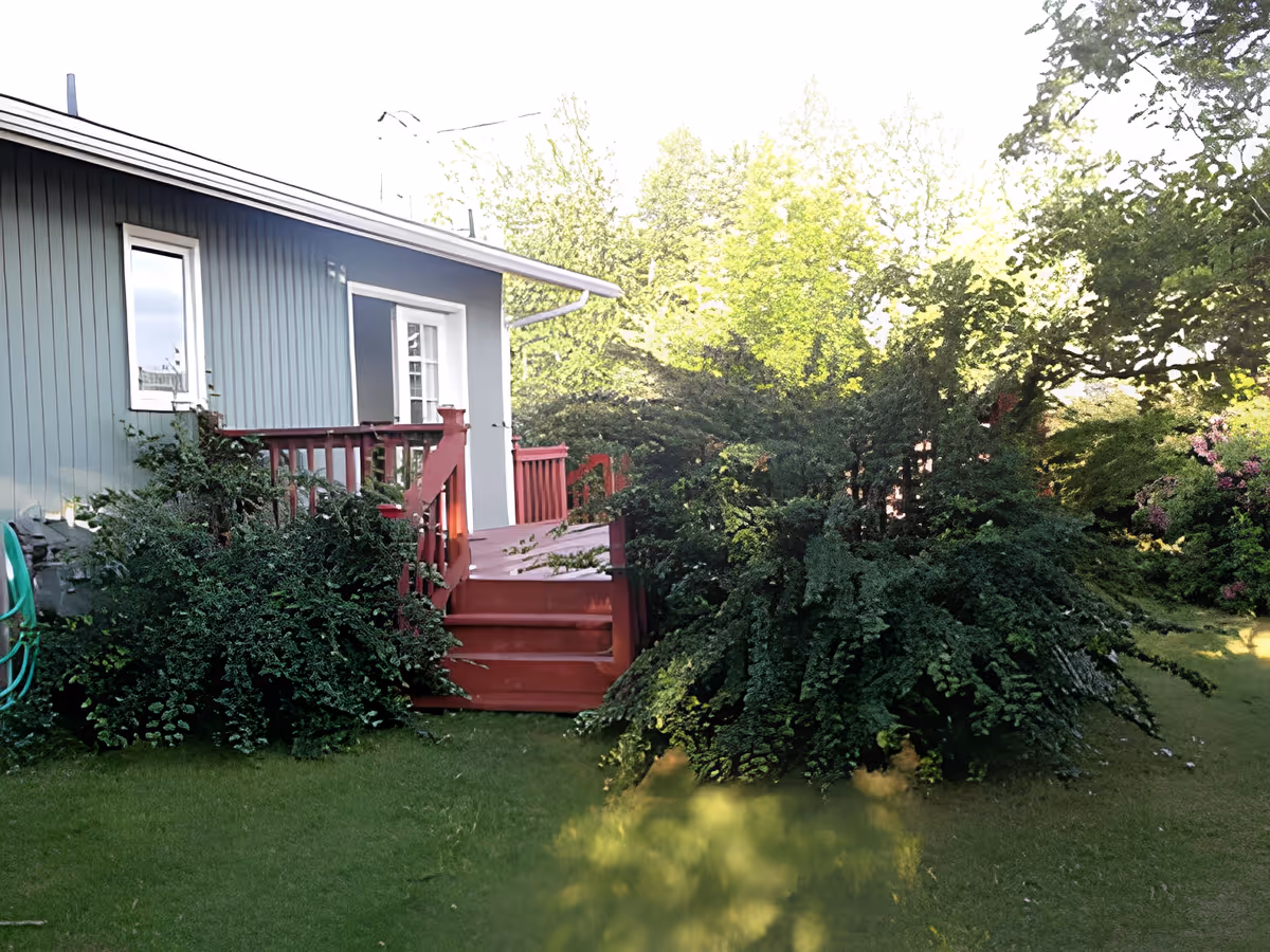 Exterior view of a single-story building with blue siding and a red wooden deck with stairs leading down to a grassy yard surrounded by dense green bushes and trees.
