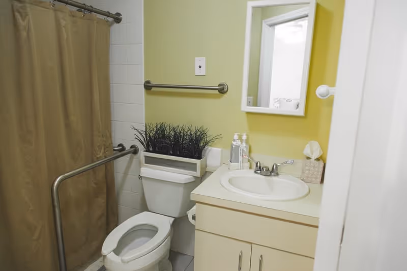 A small bathroom with a toilet, a sink with a countertop, a mirror above the sink, a beige shower curtain, and grab bars installed near the toilet and shower. There is a decorative plant on top of the toilet tank and a tissue box on the sink counter.