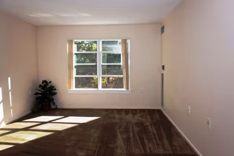 Empty carpeted living room with a large window letting in sunlight and a potted plant in the corner.