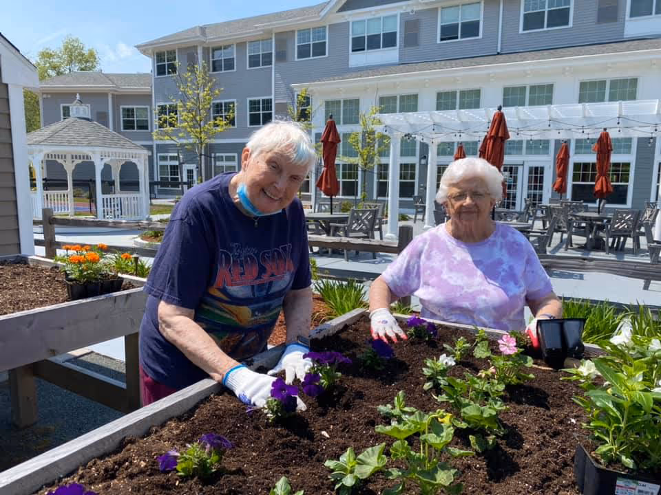 Two elderly women gardening in raised flower beds outside a retirement community building. They are planting purple and pink flowers and wearing gardening gloves. The background shows a white gazebo, patio tables with red umbrellas, and a multi-story building with many windows.