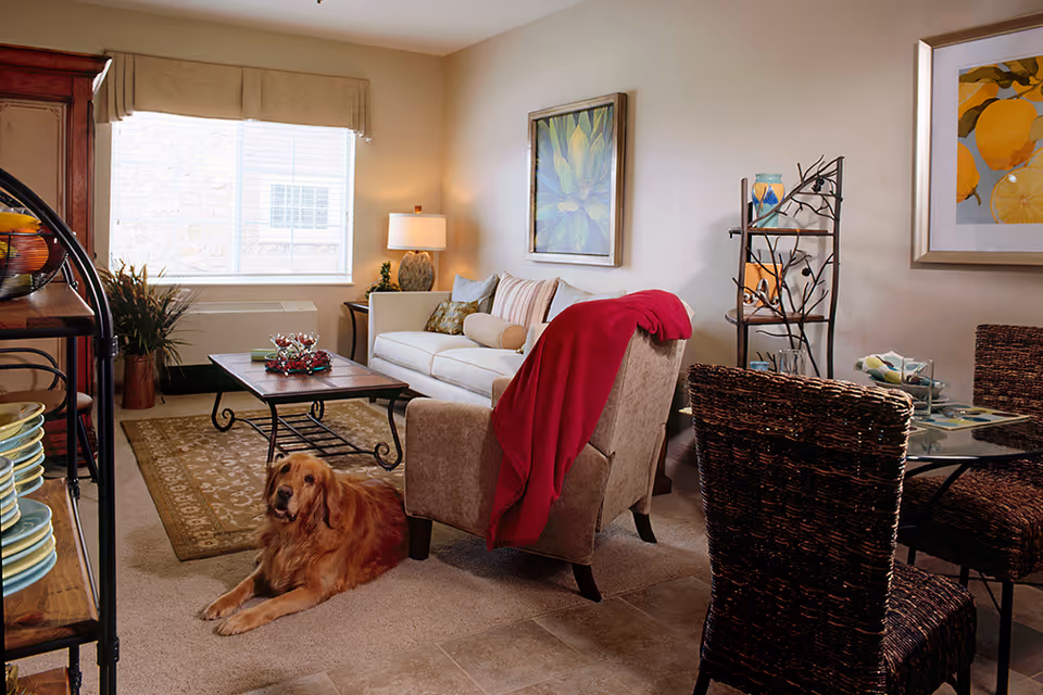 Cozy living room with a beige armchair draped with a red blanket, a white sofa with cushions, a coffee table with decorative items, a large window with blinds, framed artwork on the walls, a metal shelf with decorative pieces, a glass dining table with wicker chairs, and a golden retriever dog lying on the carpeted floor.