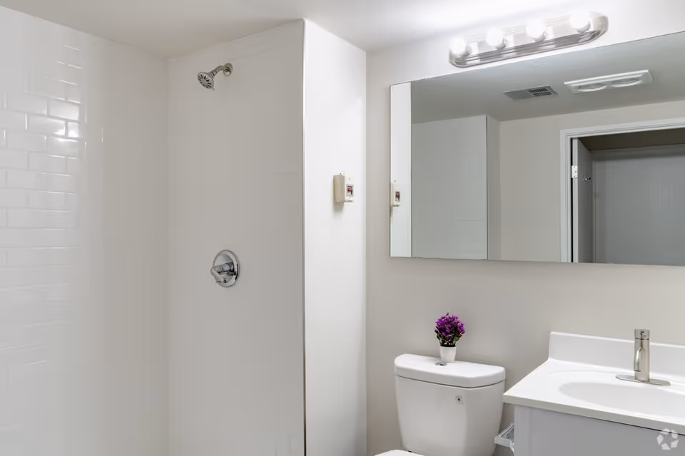 Clean white bathroom with a tiled walk-in shower, toilet topped with a small potted purple plant, sink and large mirror with vanity lights.
