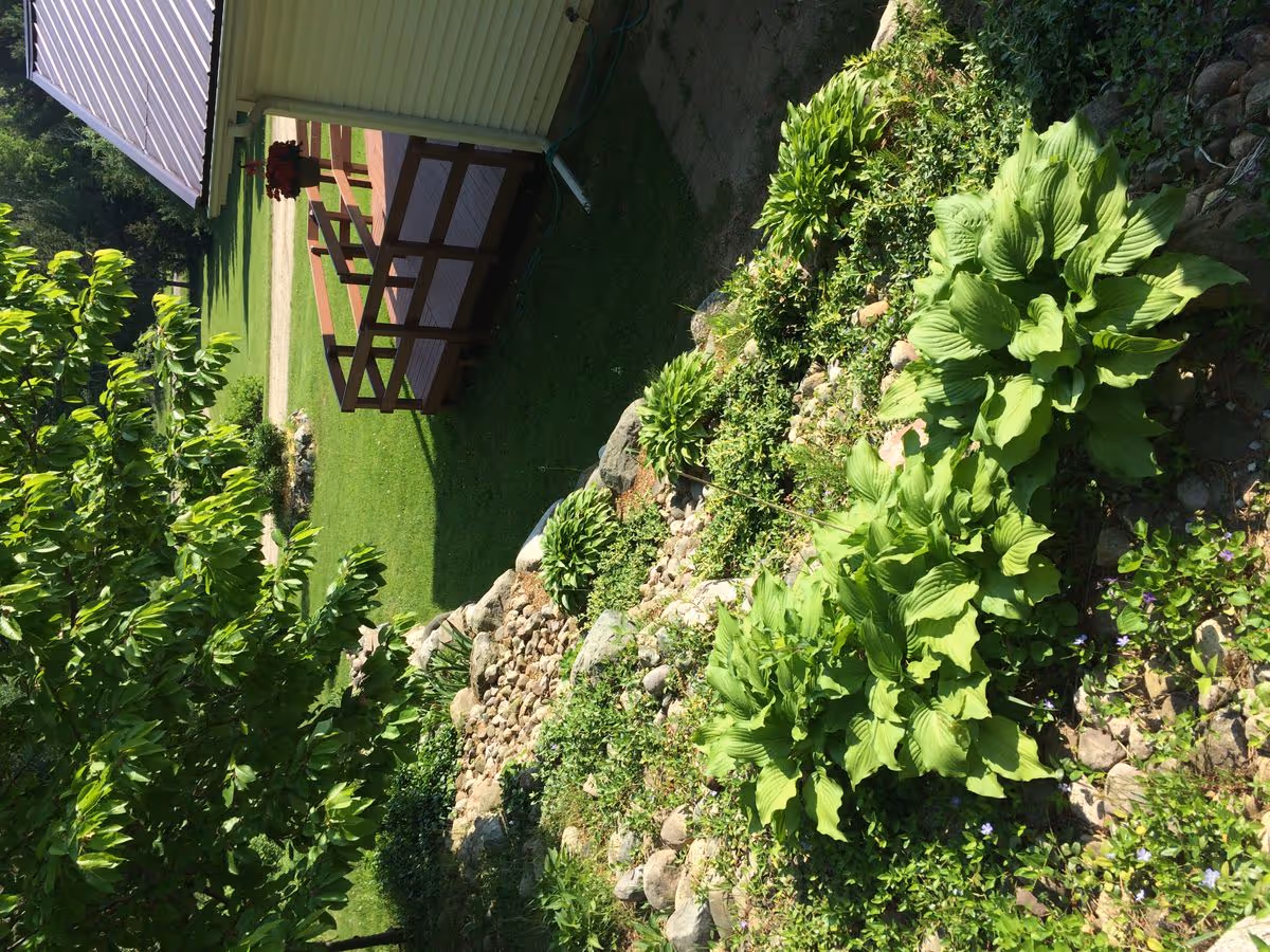 A sunlit outdoor garden with hosta plants and a rock border beside a small porch with hanging flowers.