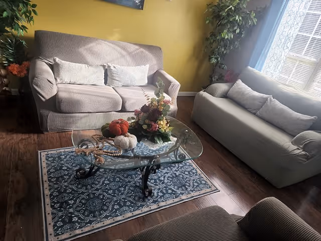 A cozy living room with two beige sofas facing each other, each with matching cushions. A glass coffee table with a decorative floral arrangement and small pumpkins sits on a blue patterned rug. The room has wooden flooring, a yellow wall, and a window with sheer curtains letting in natural light. There are green plants in the corners adding to the decor.