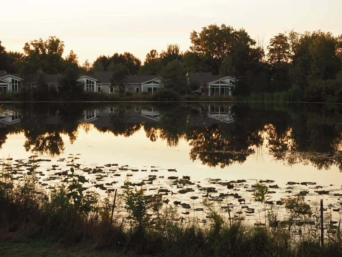 A serene view of a pond with lily pads and tall grass in the foreground, reflecting trees and residential buildings in the background during sunset.