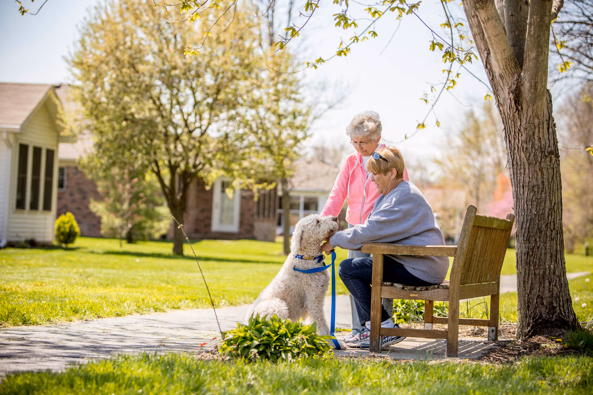 Two elderly women outdoors at Compass Park, one sitting on a wooden bench and the other standing, both interacting with a large white dog on a leash. They are surrounded by green grass, trees, and residential buildings in the background on a sunny day.