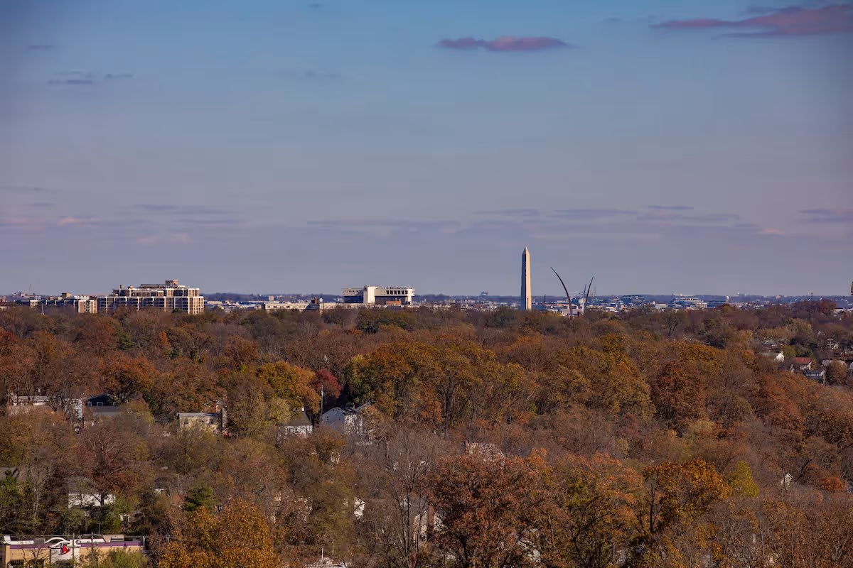 A wide view of a cityscape with a dense area of trees in autumn colors in the foreground and midground, and buildings including the Washington Monument visible in the background under a partly cloudy sky.