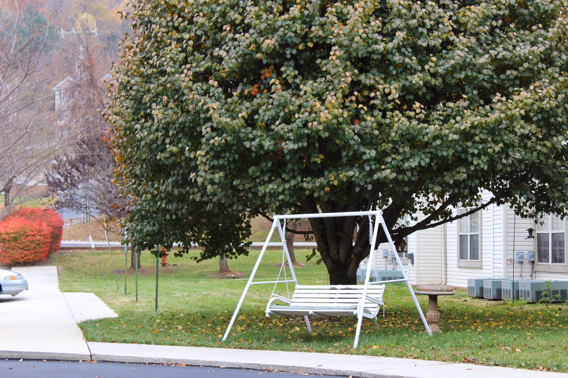 A white metal-frame swing sits under a large leafy tree on the lawn beside a light-colored building.