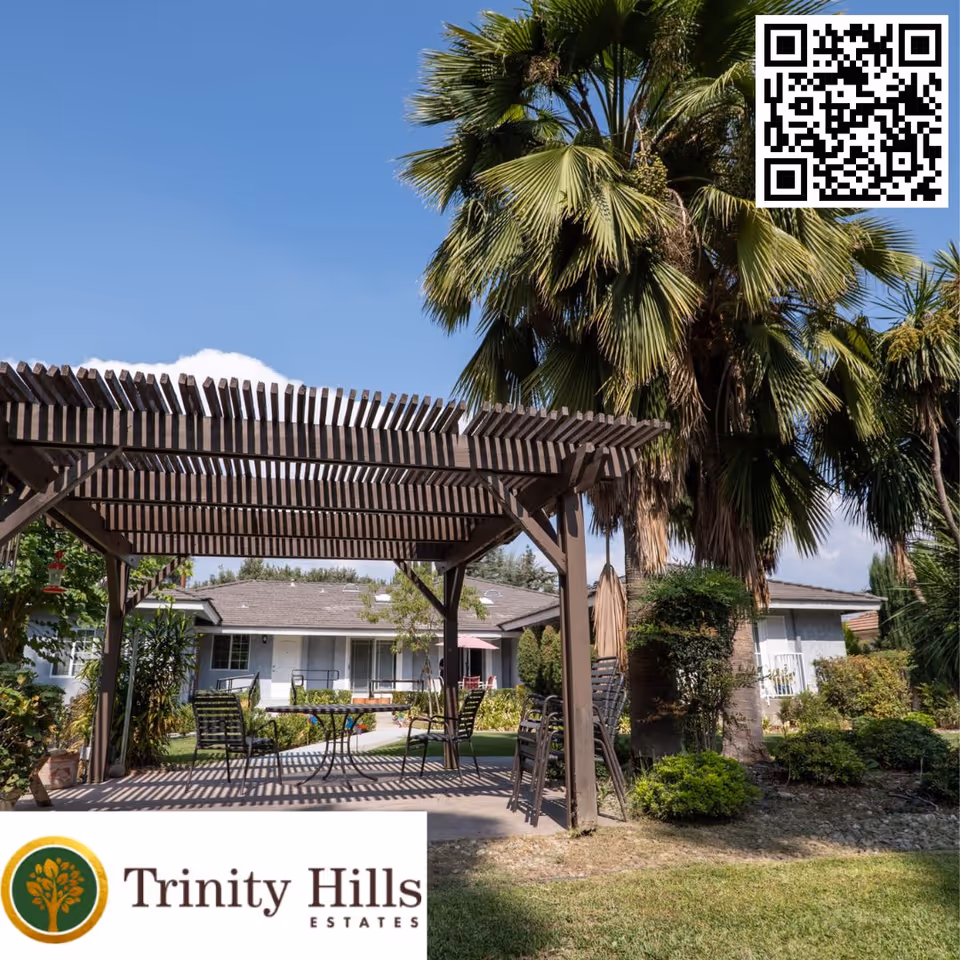 Outdoor seating area with a wooden pergola casting shadows on the ground, surrounded by palm trees and greenery, with a single-story building in the background under a clear blue sky.