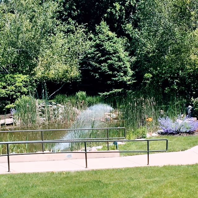 A landscaped outdoor area featuring a small pond with a water fountain spraying water upwards, surrounded by tall grasses, flowering plants, and trees. A paved walkway with a metal handrail runs in front of the pond, and a well-maintained grassy lawn is visible in the foreground.