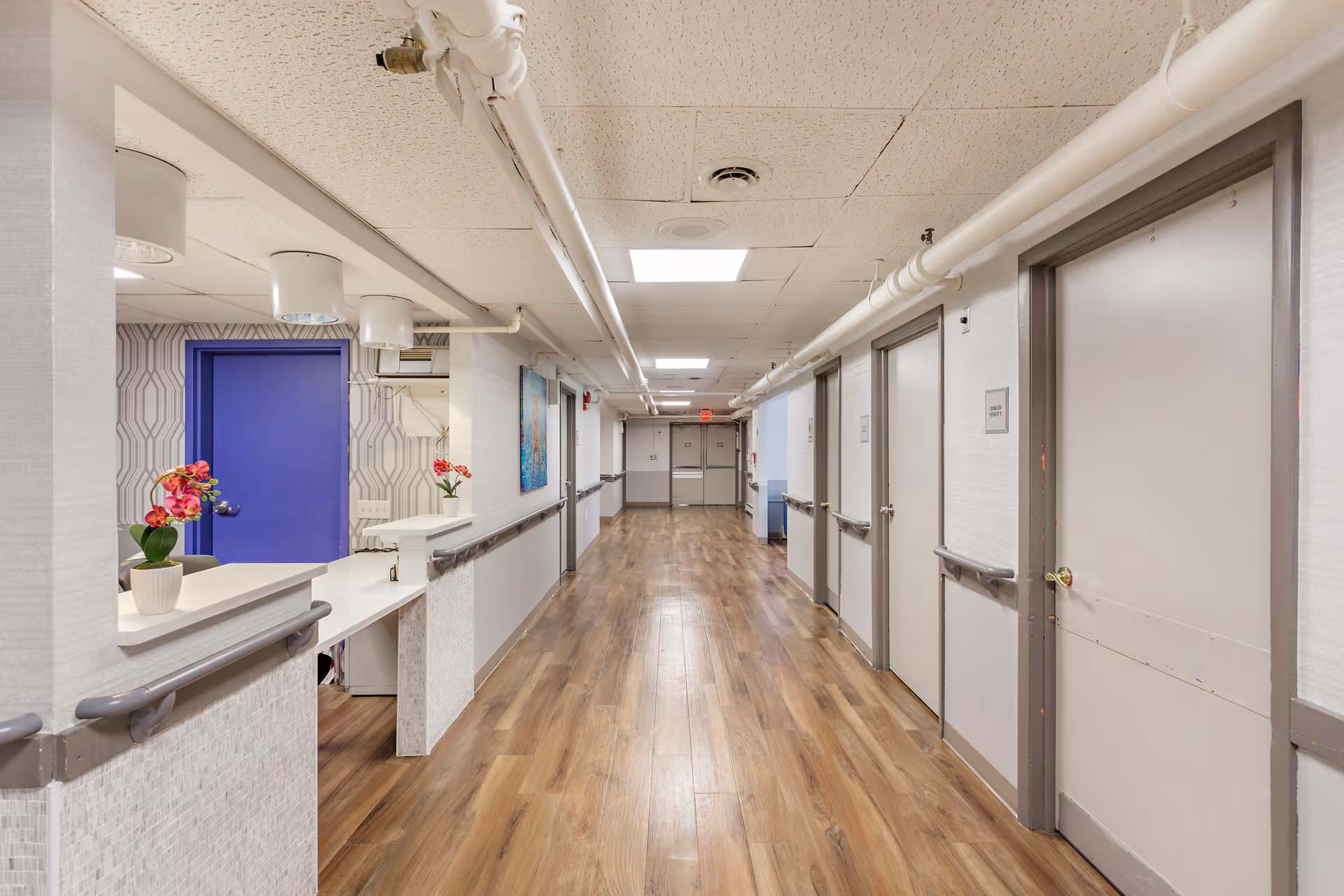 A long, well-lit hallway in a senior living facility with wood-style flooring and white walls. On the left side, there is a reception desk with two potted pink orchids and a bright blue door behind it. Several closed doors line the right side of the hallway, each with handrails along the walls. The ceiling has white tiles with exposed white pipes running along it.