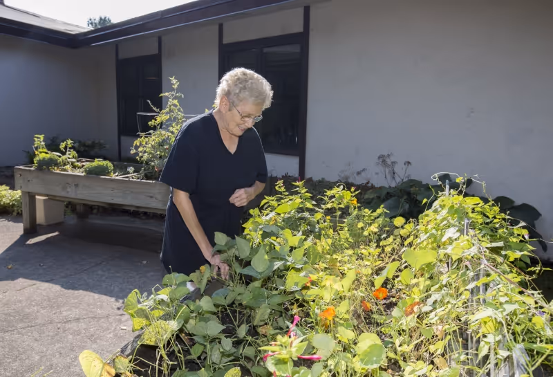 An elderly woman tending to plants in a raised garden bed outside a building on a sunny day.