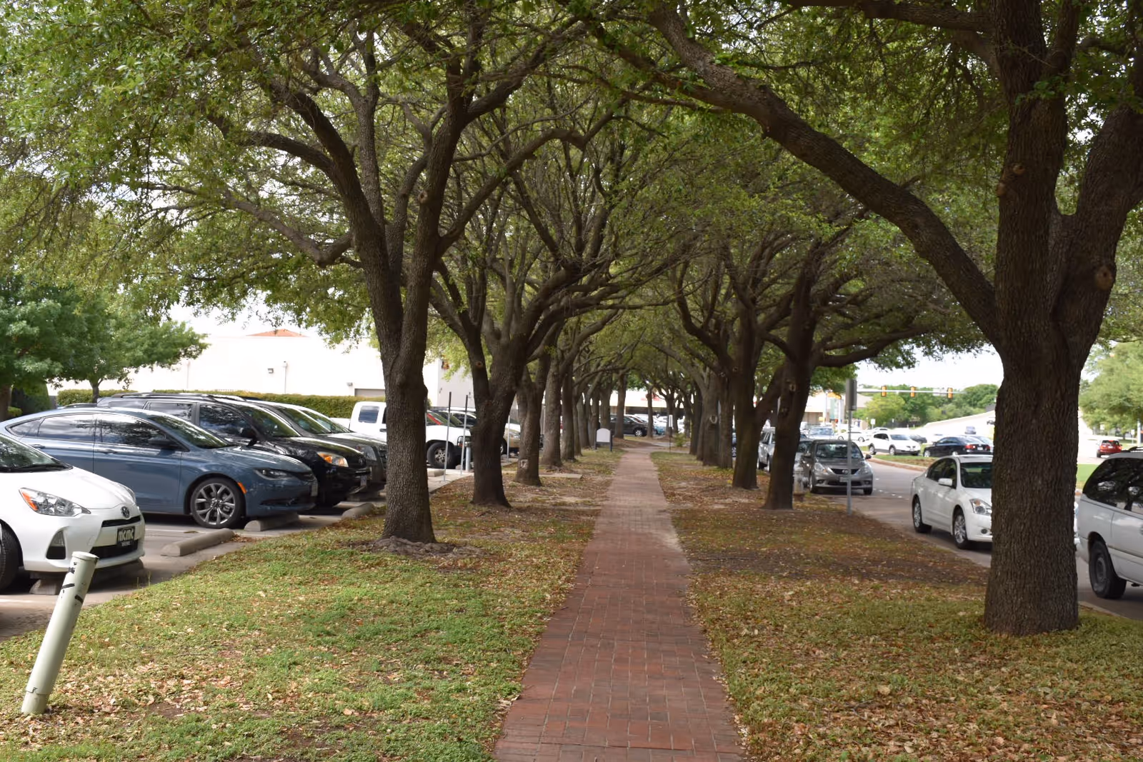 A tree-lined brick walkway with parked cars on both sides, leading towards a distant street with traffic lights.