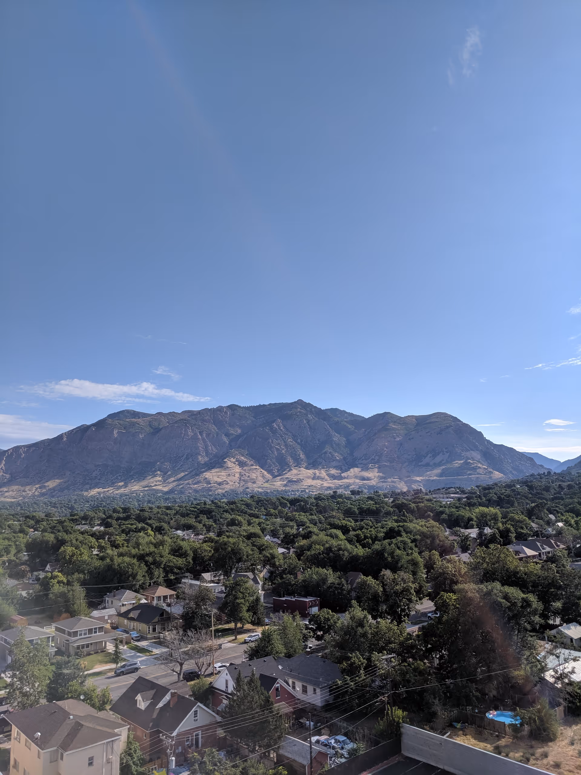 View of a residential neighborhood with many trees and houses in the foreground, and a large mountain range under a clear blue sky in the background.