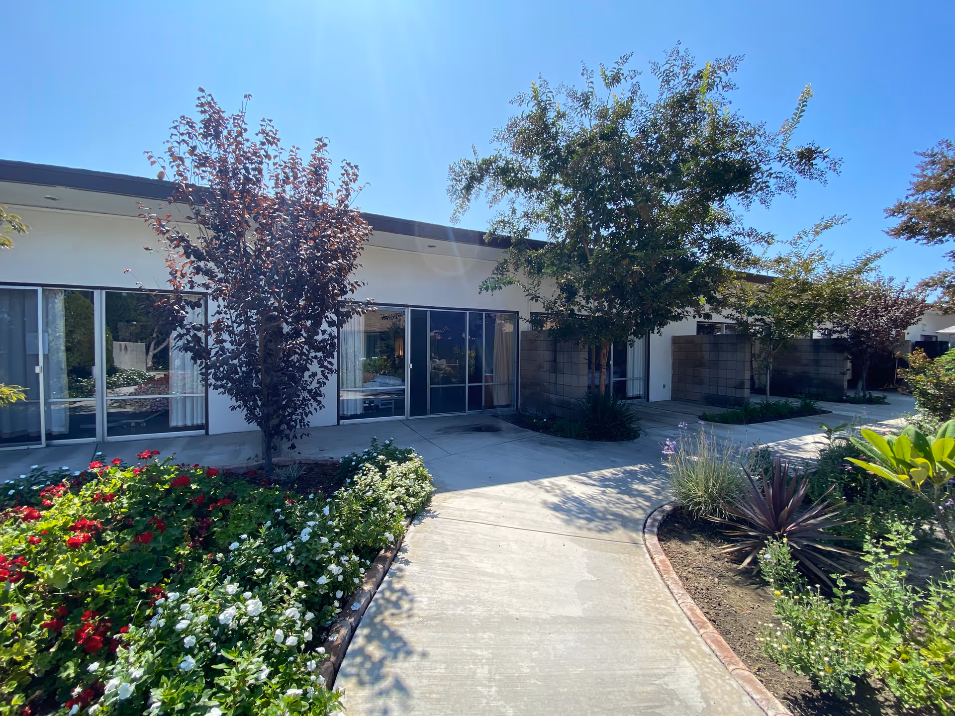 Outdoor walkway at Pacific Haven SubAcute and Healthcare Center with landscaped garden beds featuring red and white flowers, shrubs, and trees. The building has large sliding glass doors and a flat roof under a clear blue sky.