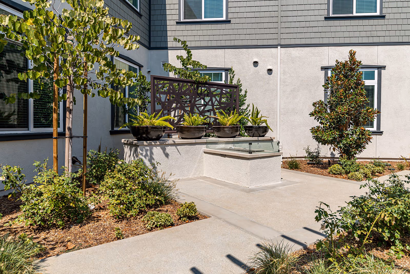 A landscaped courtyard with raised planters holding ferns, a decorative metal screen, and building windows in the background.