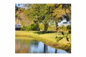 A small pond with grassy banks and trees reflecting in the water on landscaped grounds.