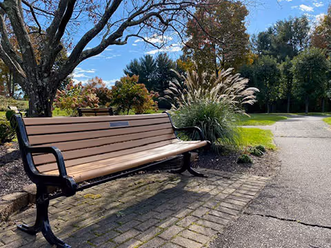 A wooden bench with black metal armrests and legs sits on a brick-paved area next to a paved pathway in a garden-like outdoor setting. There are trees, ornamental grasses, and other greenery around, with a partly cloudy blue sky overhead.