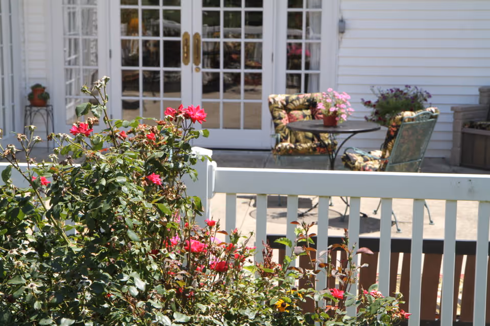 A sunny patio with a white railing, blooming pink roses in the foreground, and a small table with cushioned chairs in front of glass French doors.