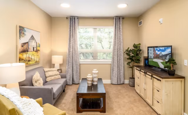 Cozy furnished living room with a sofa, armchair, coffee table, TV on a cabinet, and a window with curtains.