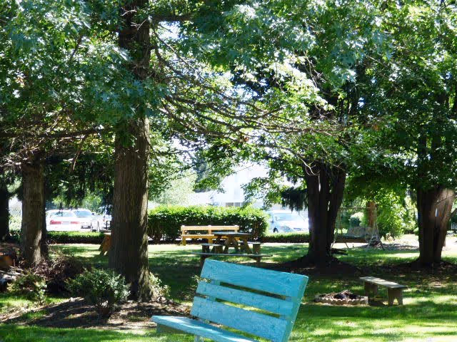 A shaded outdoor garden area with several large trees providing canopy cover. There is a turquoise wooden bench in the foreground, a wooden picnic table with attached benches in the mid-ground, and a stone bench to the right. Cars and a building are visible in the background beyond the garden area.