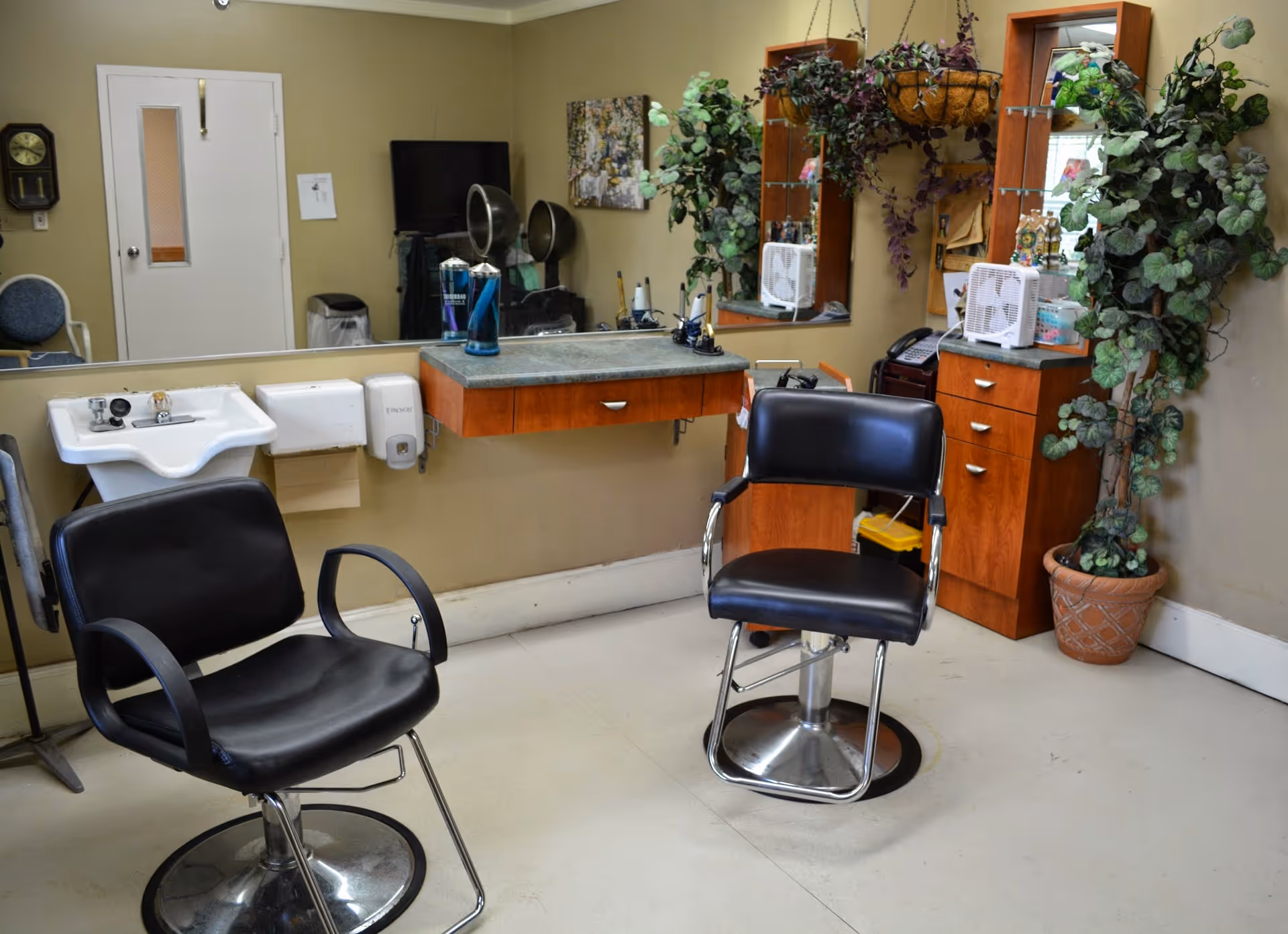 Small salon/barber station with two black styling chairs, a sink, mirrors, wooden cabinets and potted plants.