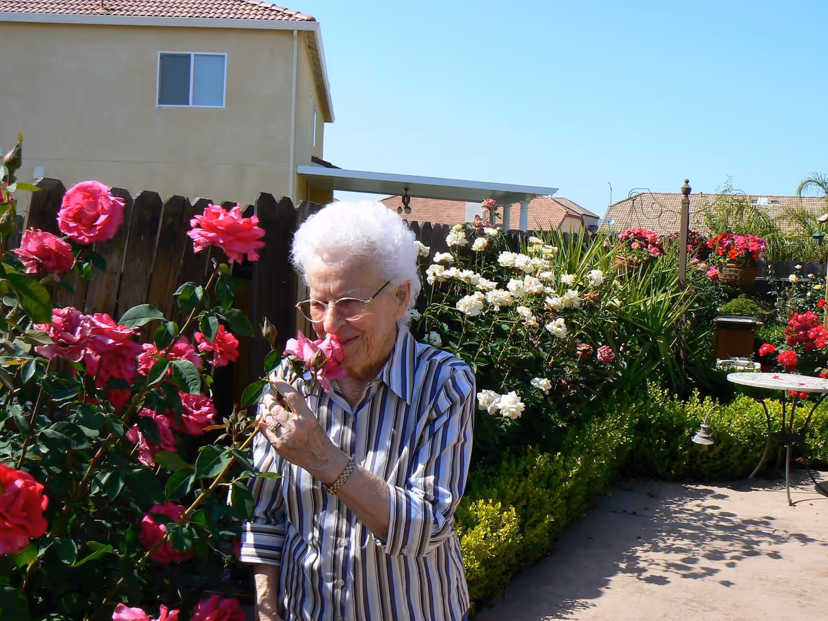 An elderly woman with white hair and glasses is smelling pink roses in a garden. The garden has a variety of blooming flowers including white and red roses, with a wooden fence and residential buildings in the background under a clear blue sky.