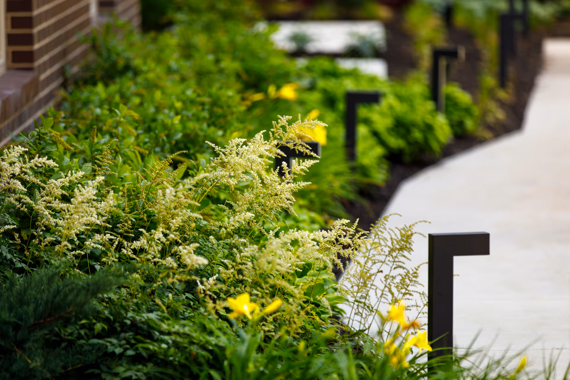 A landscaped garden area with green shrubs, white and yellow flowers along a paved walkway with modern black outdoor lights.