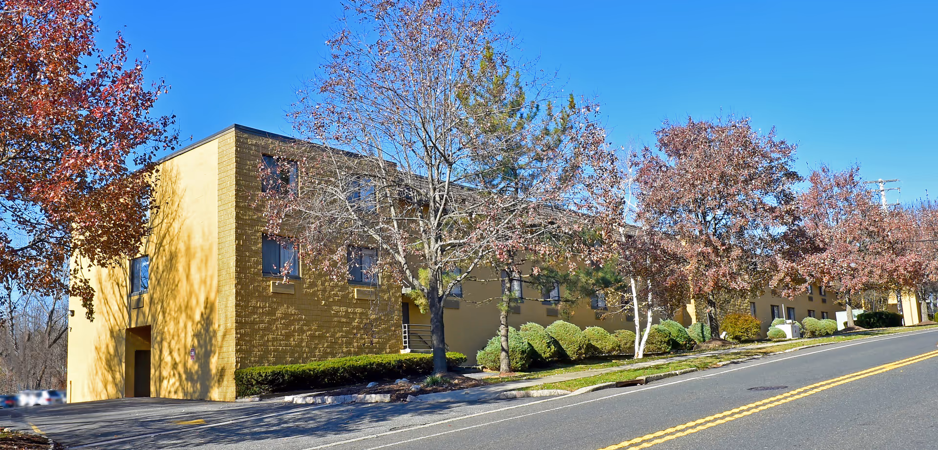 Exterior view of a yellow multi-story building with several windows, surrounded by trees with autumn foliage and bushes along the sidewalk. The sky is clear and blue, and a road with double yellow lines runs alongside the building.