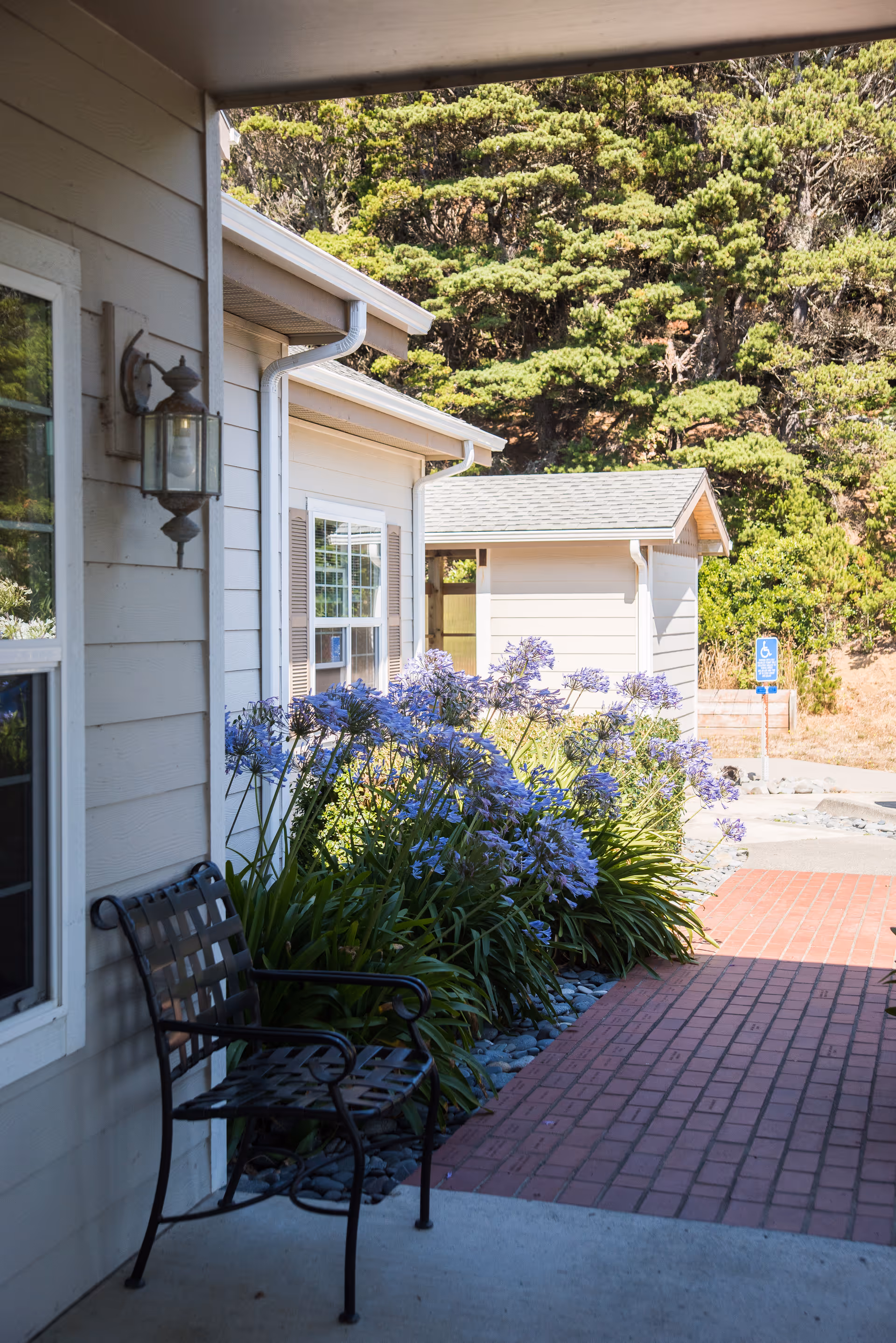 Outdoor view of a senior living community showing a covered porch area with a black metal bench, purple flowering plants along the side of the building, a brick walkway, and trees in the background.