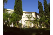 Front view of The Care Center of Honolulu, a two-story building with palm trees and lawn.