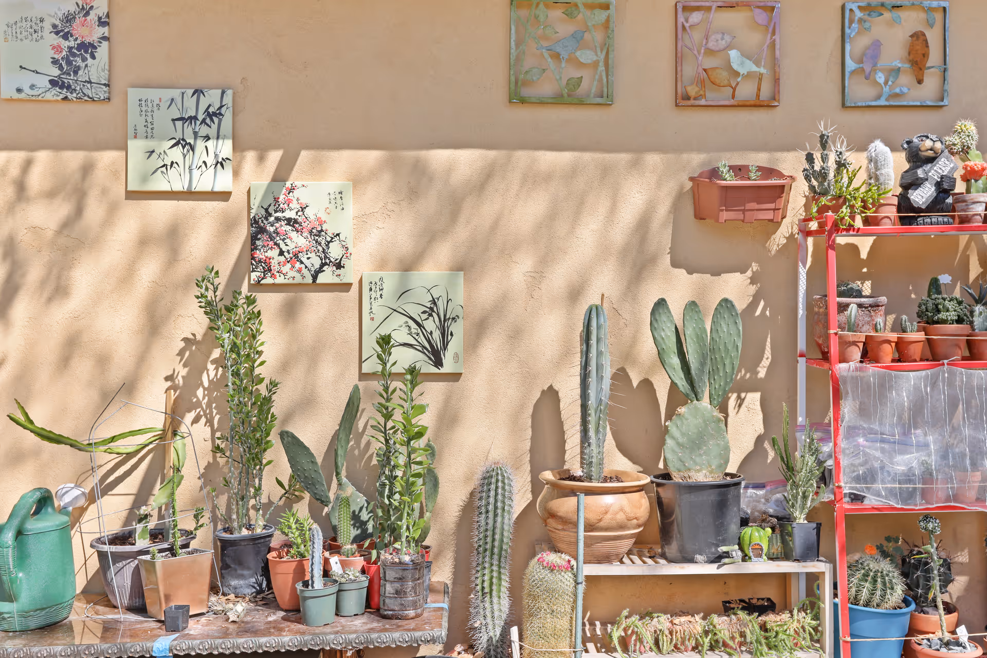 Photo 13 of Citrus Pines Senior Living