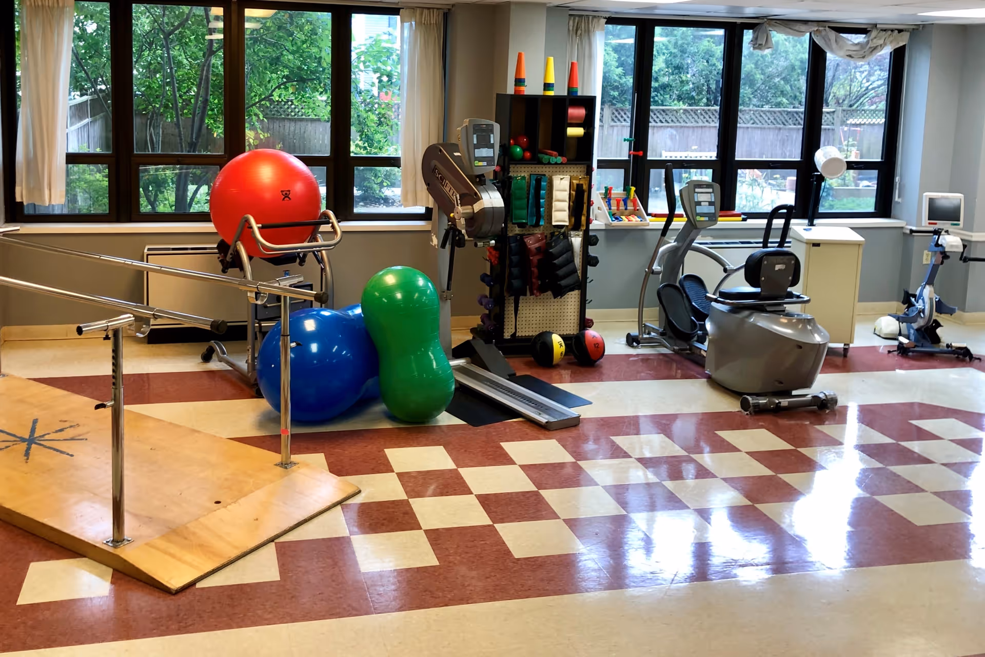A rehabilitation and exercise room with various physical therapy equipment including parallel bars, large exercise balls in red, blue, and green, a rack with weights and therapy tools, and exercise machines. Large windows in the background show greenery outside.