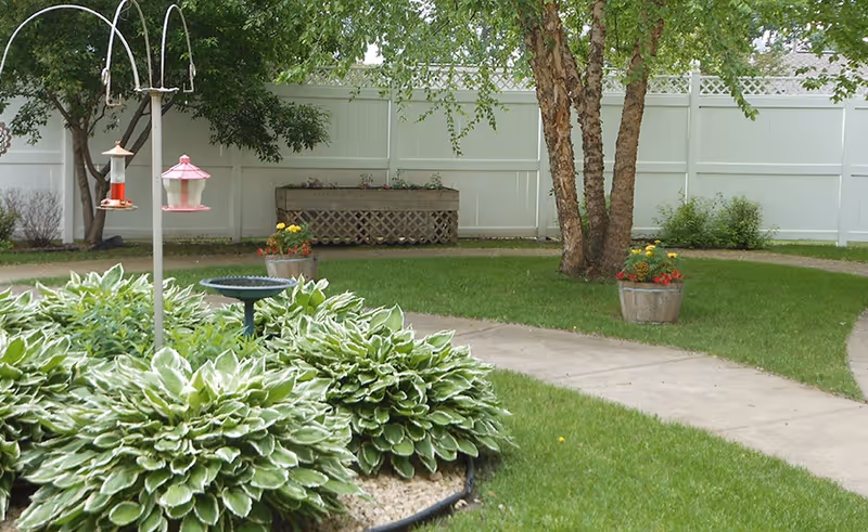 Fenced courtyard garden with lush hosta plants, a tree, bird feeders and a paved walkway with potted flowers.
