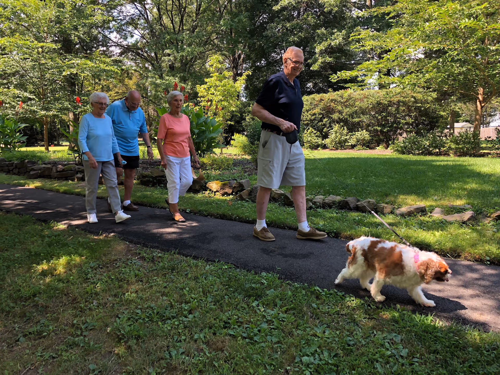Four elderly people walking on a paved path in a lush green park. One man is walking a small brown and white dog on a leash. The group is surrounded by trees, grass, and flowering plants under a sunny sky.