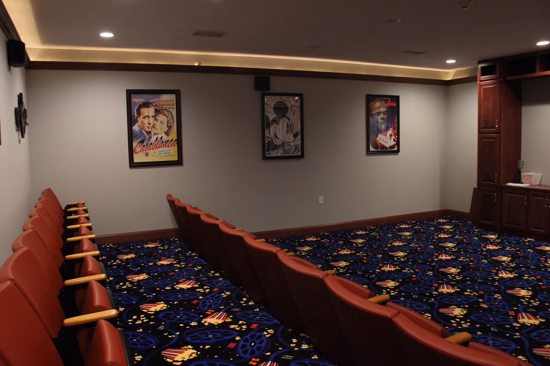 Small private theater room with rows of red seats, a colorful patterned carpet, and movie posters on the wall.