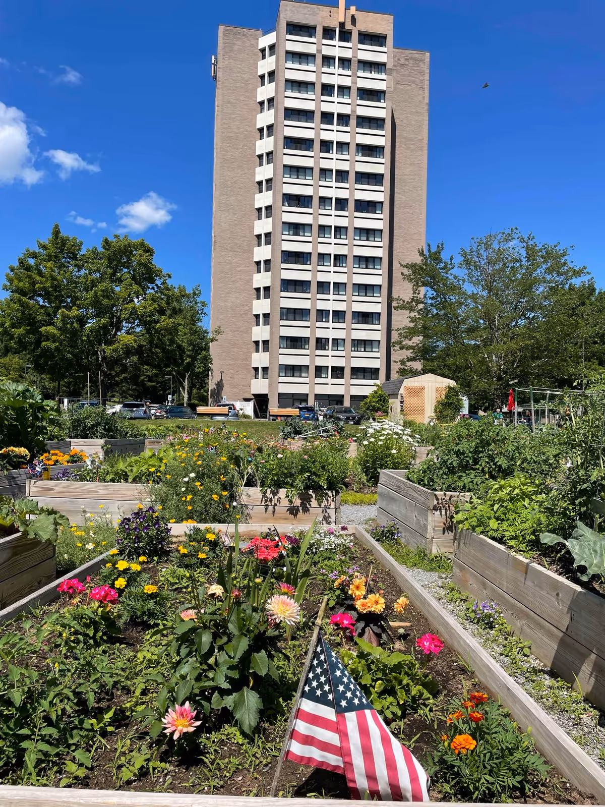 A tall multi-story apartment building under a clear blue sky with a garden in the foreground. The garden has raised wooden flower beds filled with various colorful flowers and plants, and an American flag is placed in one of the beds. Trees and parked cars are visible around the garden area.