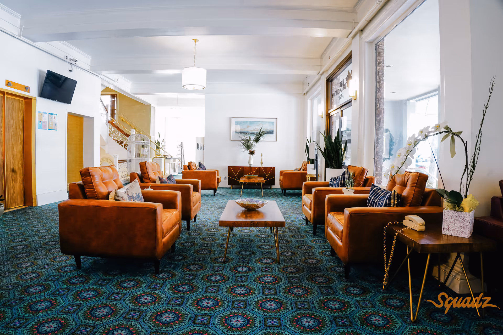 A bright and spacious lounge area with multiple brown leather armchairs arranged around wooden coffee tables on a patterned blue carpet. The room features white walls, large windows letting in natural light, potted plants, a wall-mounted TV, and a staircase in the background. A vintage telephone and a white orchid plant are on a small side table to the right.