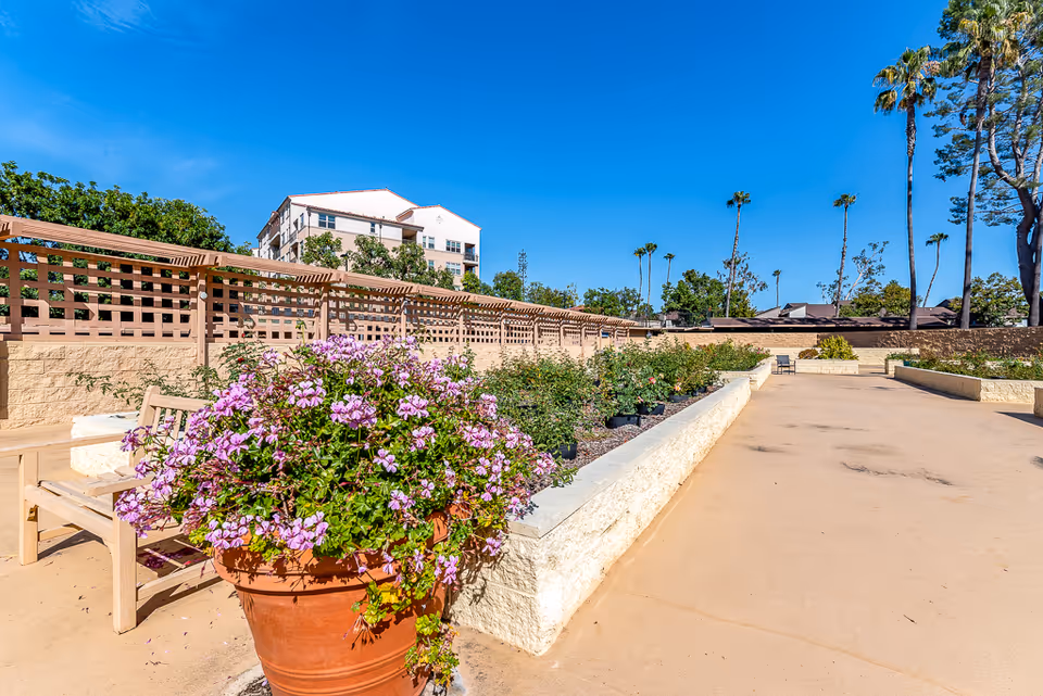 Sunlit outdoor courtyard with a large potted pink-flowering plant, benches, raised garden beds, a trellis fence, and a building in the background.