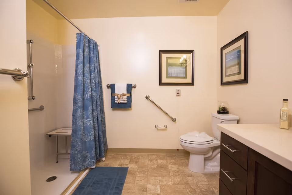 Accessible bathroom with a shower and blue curtain, grab bars, toilet, vanity, and framed wall art.