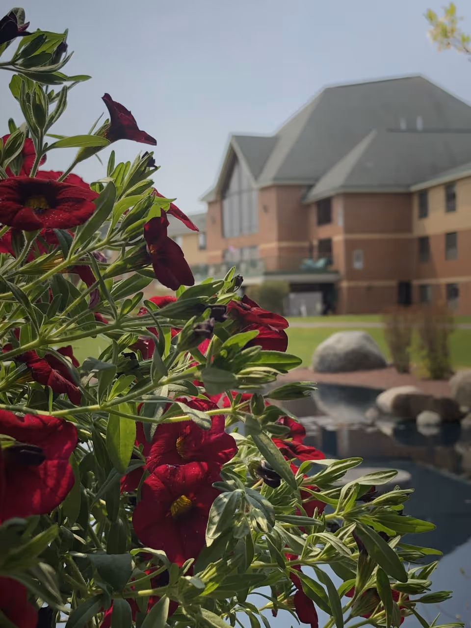 Red flowers in the foreground with a pond and a multi-story brick senior living building in the background.